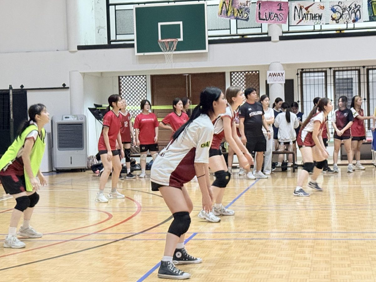 Stallions ready to receive the serve