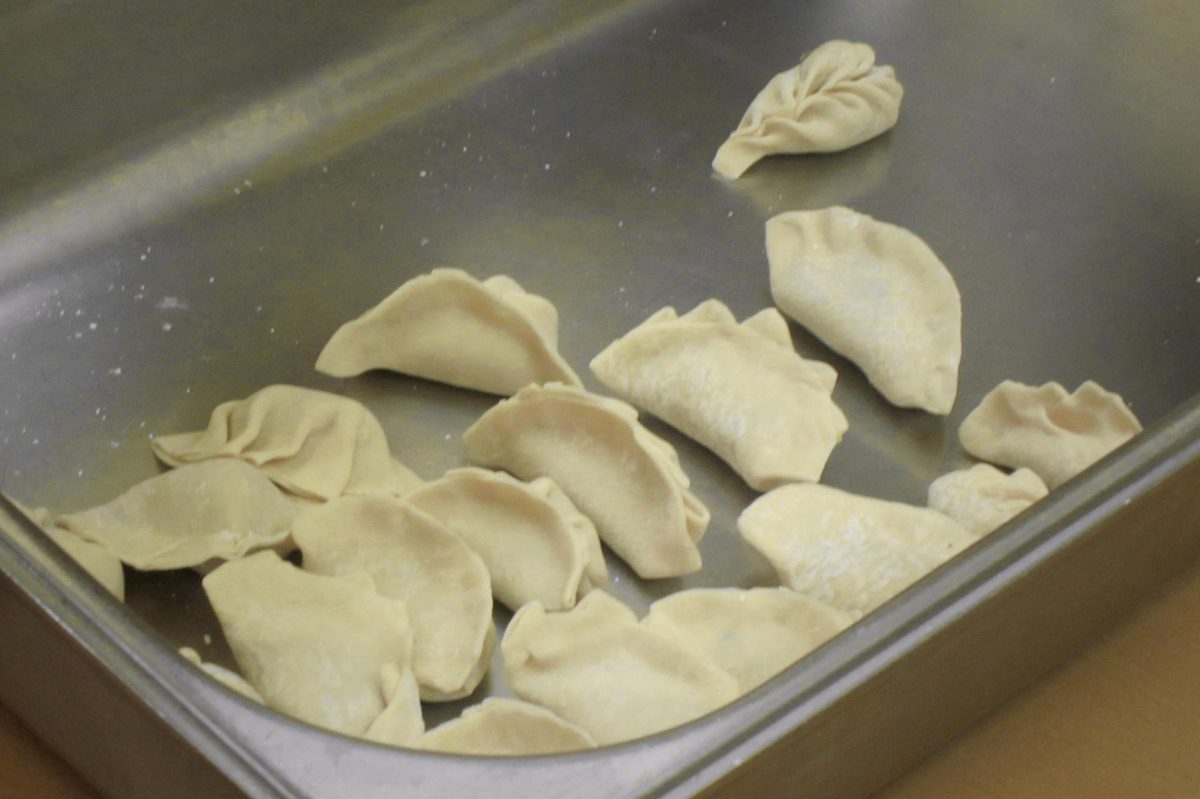 dumplings5.1