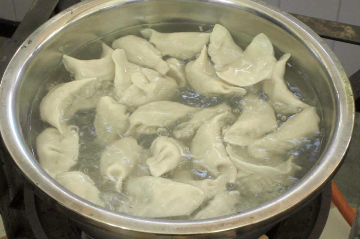 dumplings5.2